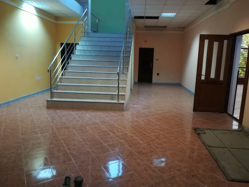 Theodor Pallady vand conac vila 2000 mp construiti 1500 mp teren,