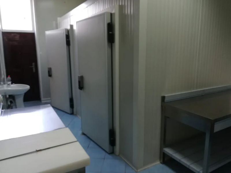 Theodor Pallady, vila 2000 mp, venind 300 euro mp, teren 1500 mp,
